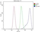 NTCP Antibody in Flow Cytometry (Flow)