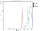 Band 3 Antibody in Flow Cytometry (Flow)