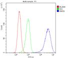 SMC6 Antibody in Flow Cytometry (Flow)