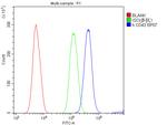 CD43 Antibody in Flow Cytometry (Flow)