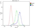 CD43 Antibody in Flow Cytometry (Flow)