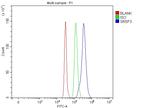 SRSF3 Antibody in Flow Cytometry (Flow)