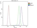 TMEM107 Antibody in Flow Cytometry (Flow)