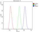 TIF1 gamma Antibody in Flow Cytometry (Flow)
