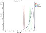 beta-5 Tubulin Antibody in Flow Cytometry (Flow)