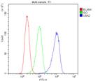 UBA2 Antibody in Flow Cytometry (Flow)