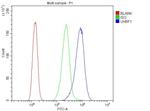 UHRF1 Antibody in Flow Cytometry (Flow)