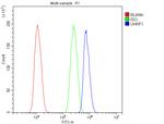 UHRF1 Antibody in Flow Cytometry (Flow)