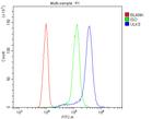 ULK3 Antibody in Flow Cytometry (Flow)