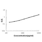 WFDC2 Antibody in ELISA (ELISA)