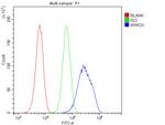 WWOX Antibody in Flow Cytometry (Flow)
