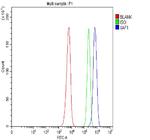XAF1 Antibody in Flow Cytometry (Flow)