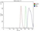 YBX1 Antibody in Flow Cytometry (Flow)