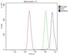 Pokemon Antibody in Flow Cytometry (Flow)