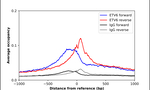 ETV6 Antibody in ChIP Assay (ChIP)