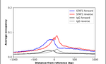 STAT1 Antibody in ChIP Assay (ChIP)