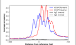 C/EBP epsilon Antibody in ChIP Assay (ChIP)