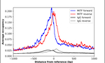 MiTF Antibody in ChIP Assay (ChIP)