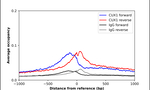 CUX1 Antibody in ChIP Assay (ChIP)