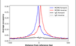 MCM6 Antibody in ChIP Assay (ChIP)