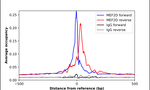 MEF2D Antibody in ChIP Assay (ChIP)