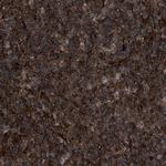 PTPRE Antibody in Immunohistochemistry (Paraffin) (IHC (P))