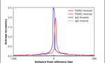 FOXK1 Antibody in ChIP Assay (ChIP)