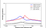 NSD3 Antibody in ChIP Assay (ChIP)