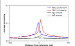 TBLR1 Antibody in ChIP Assay (ChIP)