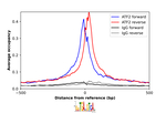 ATF2 Antibody in ChIP Assay (ChIP)
