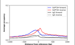 SPT3 Antibody in ChIP Assay (ChIP)