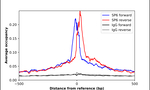 SP6 Antibody in ChIP Assay (ChIP)