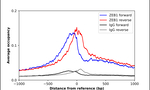 ZEB1 Antibody in ChIP Assay (ChIP)