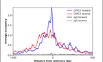 Torc2 Antibody in ChIP Assay (ChIP)