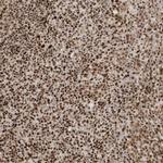 CKS2 Antibody in Immunohistochemistry (Paraffin) (IHC (P))