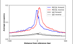 RECQ1 Antibody in ChIP Assay (ChIP)