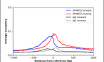 SFMBT2 Antibody in ChIP Assay (ChIP)