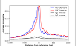 USF1 Antibody in ChIP Assay (ChIP)
