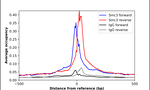 SMC3 Antibody in ChIP Assay (ChIP)