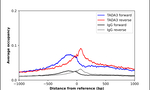 TADA3L Antibody in ChIP Assay (ChIP)