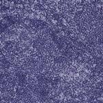 PDE6H Polyclonal Antibody