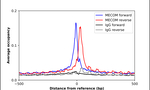 EVI1 Antibody in ChIP Assay (ChIP)