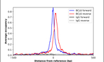 BCL6 Antibody in ChIP Assay (ChIP)