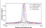 SMYD3 Antibody in ChIP Assay (ChIP)