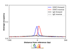 STAT3 Antibody in ChIP Assay (ChIP)