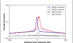 SCML1 Antibody in ChIP Assay (ChIP)