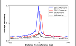 DDX17 Antibody in ChIP Assay (ChIP)