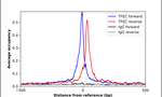 TFEC Antibody in ChIP Assay (ChIP)