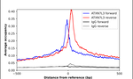 ATXN7L3 Antibody in ChIP Assay (ChIP)