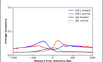 RSF1 Antibody in ChIP Assay (ChIP)